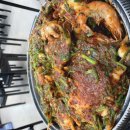 동태 조아 이미지