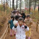 숲속유치원 이미지