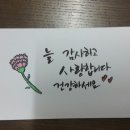 함께 그리는 색연필 일러스트 이미지