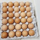 안일농장 이미지