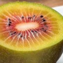 소랑다래랑 이미지