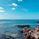 오늘도땡큐 이미지