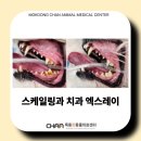 목동찬동물의료센터 이미지