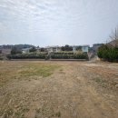 돌산초월호분교장 이미지