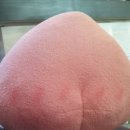 더반하다 이미지