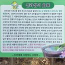 신라샘2 네이버블로그