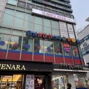 영스타서래 이미지