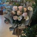 타티아르 이미지