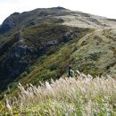 은빛추억 이미지