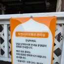 이마트24진주대안점 | 🌊 영덕 펜션 리뷰｜락엔라이프펜션 진주B룸, 바다뷰가 최고였던 숙소