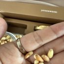 백산건강 | 백산잣 선물세트 후기