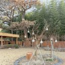 여혜가 | [경주 숙소추천]독채 감성숙소 여혜가: 따뜻한 친절함이 느껴지는 곳! 완전추천!