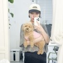 토지금고시장(관리실) 이미지