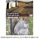 2024년 10월, 도쿄 및 도쿄 근방 축제 및 이벤트 총정리 3편!