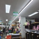 W02. 웨딩 스튜디오 촬영_ 셀프부케 만들기① 양재꽃시장 시간,이용,구매꿀팁