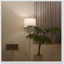 데일리 요가 이미지