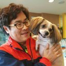 굿파파 24시 반려동물건강검진센터 이미지
