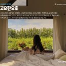 그리니제주 이미지