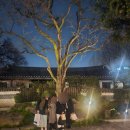 (주)석파랑 | 종로 석파랑 외국친구 한식저녁코스 내돈내산 솔직후기