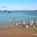 당진약국 이미지