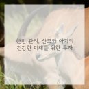 흥재침구과한의원 이미지