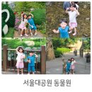 코끼리유치원 | 과천 서울대공원 동물원 아이랑 코끼리열차 열대조류관