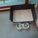 속초 애견펜션 양양 해피 플레이스 이미지