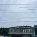 삼백조