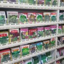 서울종묘사 이미지