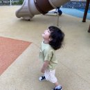 산빛 근린공원 이미지