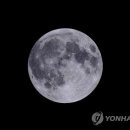 보름달 이미지
