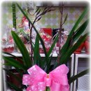 정원병설유치원 이미지