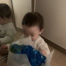 오하이플라워