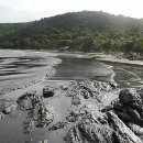 [호주유학/호주iBN유학] 호주 브리즈번항서 대규모 기름 유출 사고 이미지