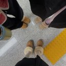 빈야사요가B | 🧘‍♀️운정 플라잉 요가/아나토미 요가 6개월 수강 후기