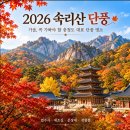 제878차(연41차)정기산행:속리산국립공원 천왕봉 세조길단풍 산행 [2026년 11월 1일(일) 05시] 이미지
