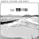 식  천 이미지