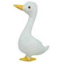 블루비타 이미지