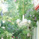 거꾸로가는시계 이미지