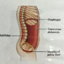 해리스짐 이미지