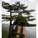 운무속의 환상적인 설악의 모습 / 동설악 달마봉(635m)~울산바위(873m 이미지