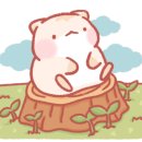 소원헤어