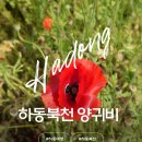 경남 하동 가볼만한곳 하동북천양귀비 실시간 후기