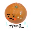 79FOUNYARD 이미지