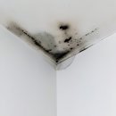 연제구-007 | 앗, 천장에서 물이 뚝! 곰팡이 냄새 맡으면 빡치잖아요?