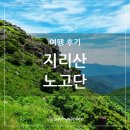 충무김밥공단점 | 지리산국립공원 성삼재, 지리산 노고단 예약 방법 등 등산 후기