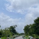 서복전시관-주차장 | [제주도] 예상하지 못한 장소에서 행복을 찾은 7월 여름 제주도 3박4일 2일차