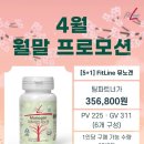 피엠뷰 이미지