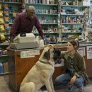 이번생은 댕댕이 이미지