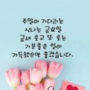 소소한이야기 이미지